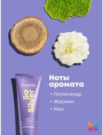 ТР СОУ СИЛЬВЕР Маска тройного действия 200 мл ( P1708302 )