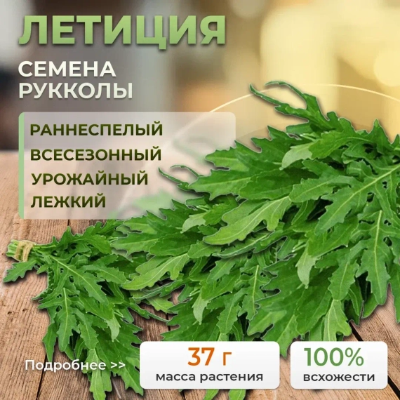 ЛЕТИЦИЯ семена рукколы (Enza Zaden | Alexagro) – фото 1