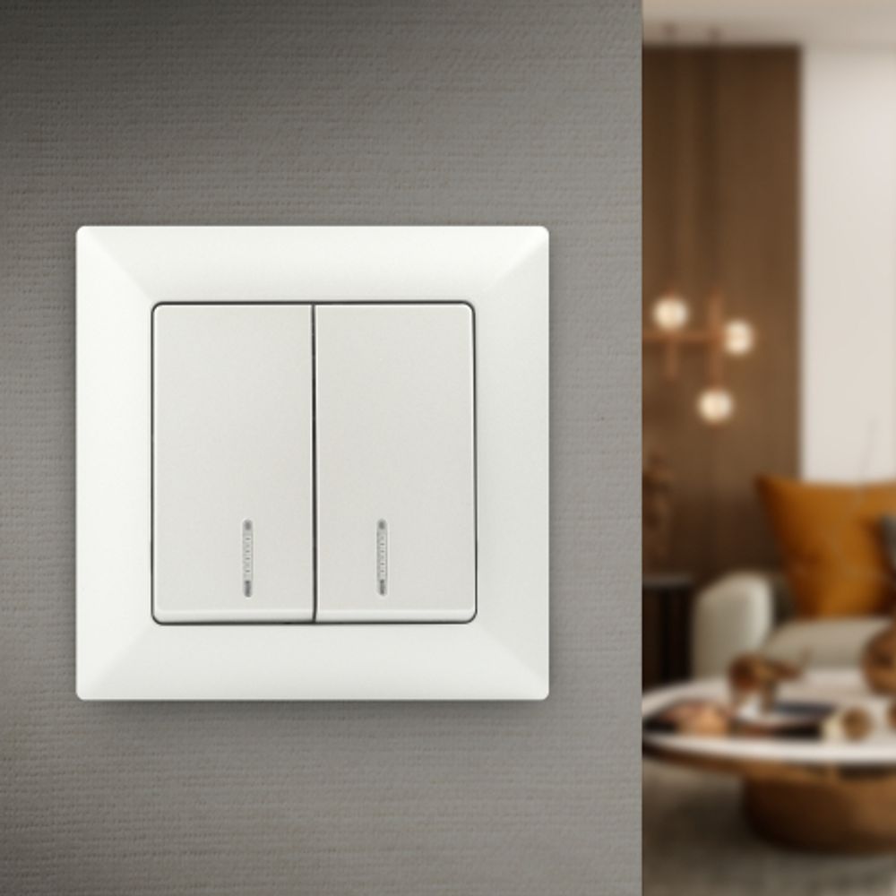 Выключатель Intro Solo 4-105-06 двухклавишный с подсветкой, 10А-250В, IP20, СУ, перламутр