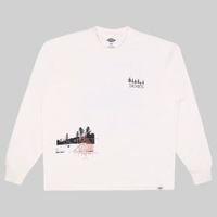  Лонгслив мужской Dickies Kenbridge Tee артикул:DK0A4YVRC581 - купить в магазине Дайс