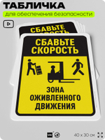 Табличка для обеспечения безопасности "Сбавьте скорость", для офиса, по охране труда для предприятия, организаций, 40х30 см, Silver Plane x Айдентика Технолоджи