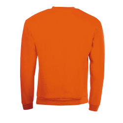 Свитшот SPIDER