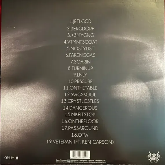 Destroy Lonely – No Stylist - LP