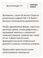 Семена тыквы Матильда F1 для посадки, 20 семян (Вита Грин / Профи)