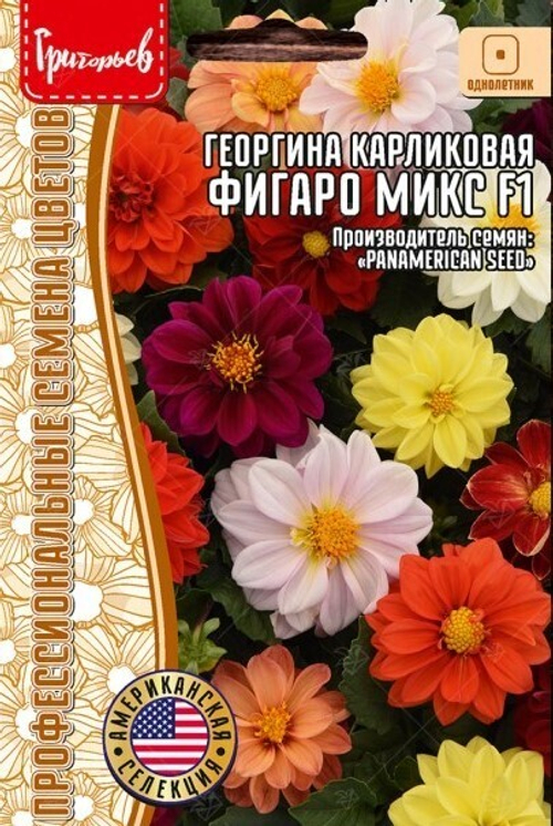 Георгина карликовая Фигаро микс F1