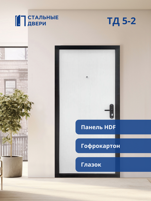 Входная дверь ТД 5-2
