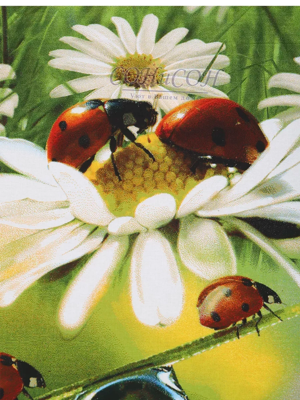 Пододеяльник 2 спальный бязь хлопок