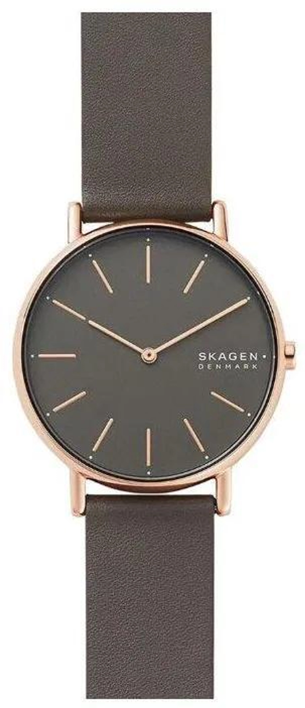 Женские наручные часы Skagen SKW2794