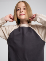 Свитшот прямой Mjölk Steel Grey/Beige, с рукавом реглан