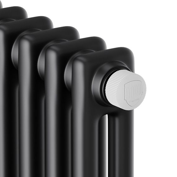 Дизайн-радиатор Royal Thermo Insignia VC2180 10 секций 2020 Вт черный