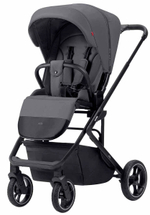 Прогулочная коляска Carrello Alfa 2023