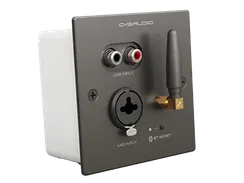 CVGAUDIO PW/EX-IN/BL универсальная настенная панель для удаленного подключения балансного микрофона MIC IN