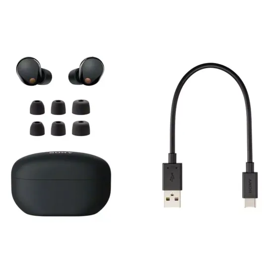 Беспроводные наушники Sony WF-1000XM5 Black