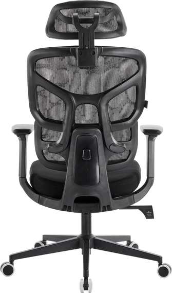 Эргономичное кресло Omega Black Сетка Черный