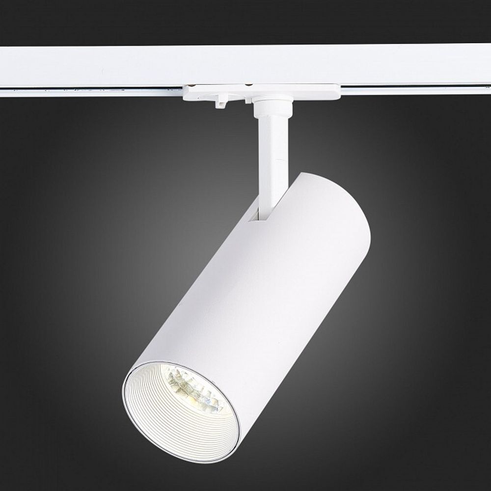 Светильник на штанге ST-Luce Mono ST350.536.20.36