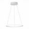 Подвесной светодиодный светильник ST Luce ST604.543.22
