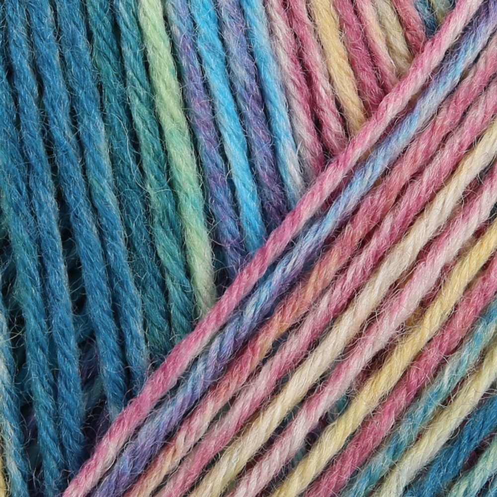 Пряжа для вязания Nordic Nature Color (06106) Schachenmayr Regia, 6 ниток (150г/375м).