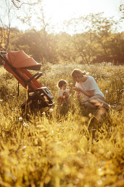 Детская прогулочная коляска Anex AIR-X Ax-01 terracotta