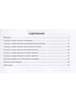 Сосуды и нервы внутренних органов. Учебное пособие. 10-е изд.