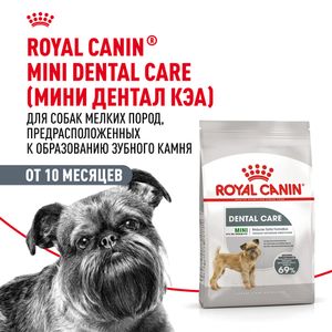 Сухой корм Royal Canin Mini Dental Care для собак мелких размеров, предрасположенных к образованию зубного камня