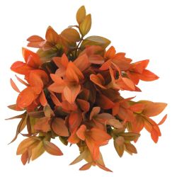 GAEM Цветочная композиция, L12 W12 H20 см, 4в.