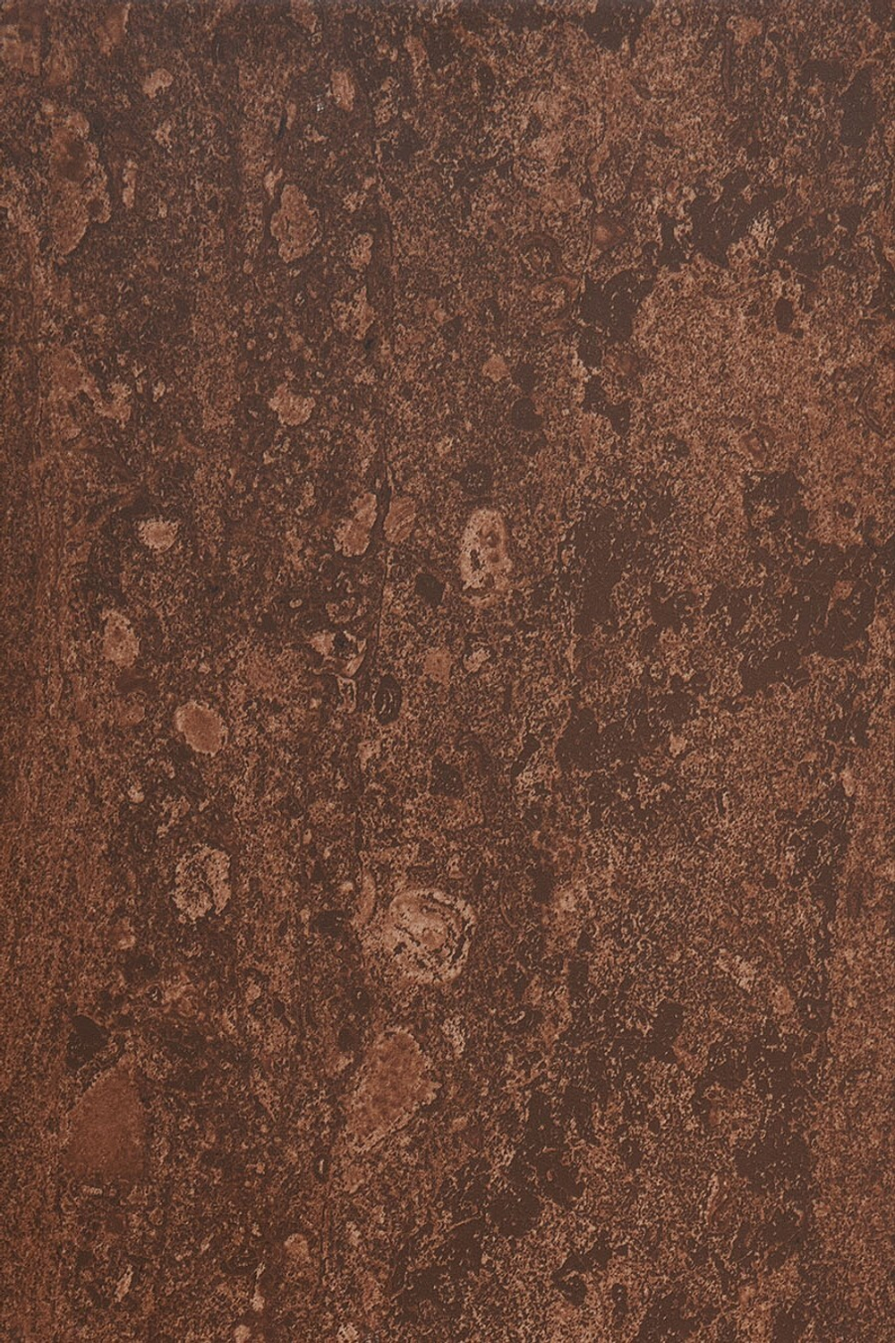 Селена кор низ 02 200х300 (1-й сорт)