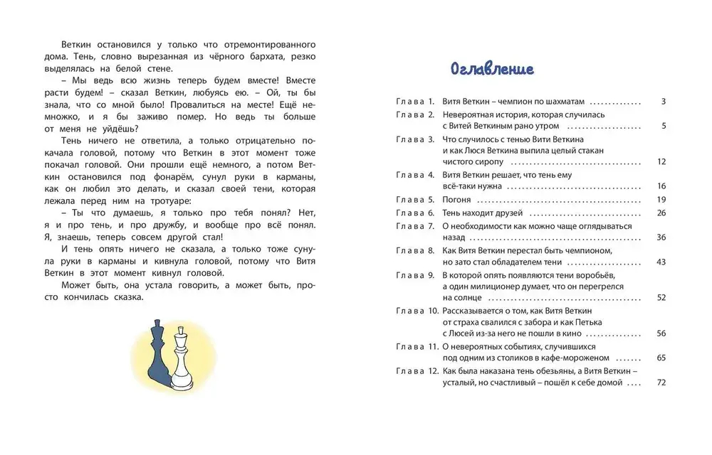 Удивительные приключения мальчика без тени и тени без мальчика
