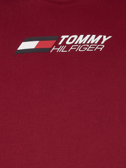 Мужская теннисная кофта Tommy Hilfiger Essentials Hoody - rouge