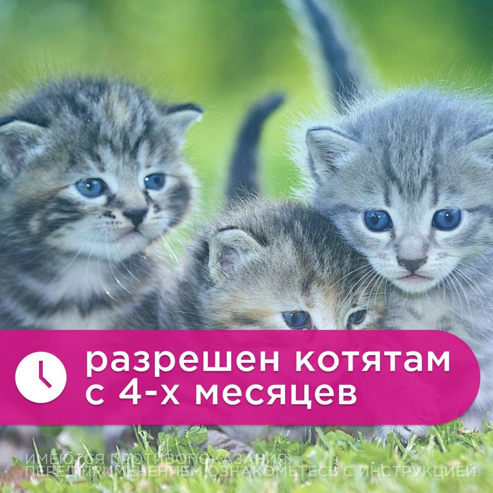Онсиор таблетки для кошек для облегчения воспаления и боли 6 мг, 6 штук
