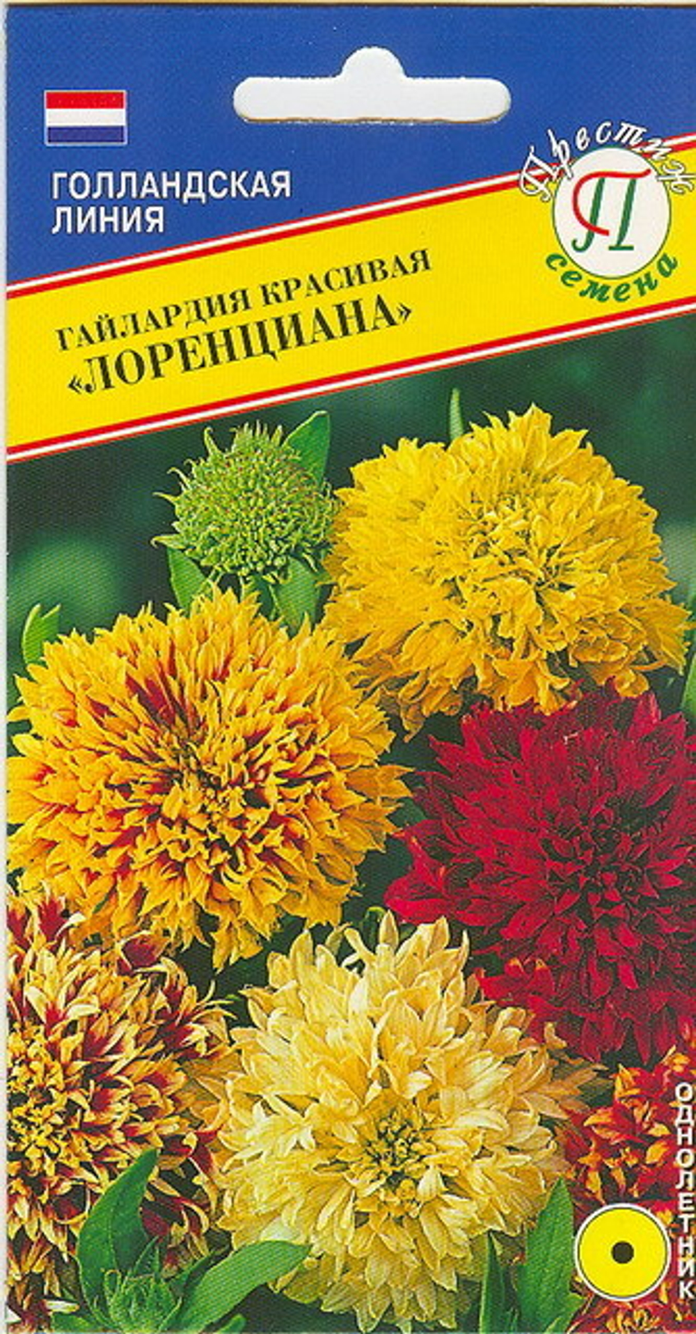 Гайлардия Лоренциана красивая Престиж