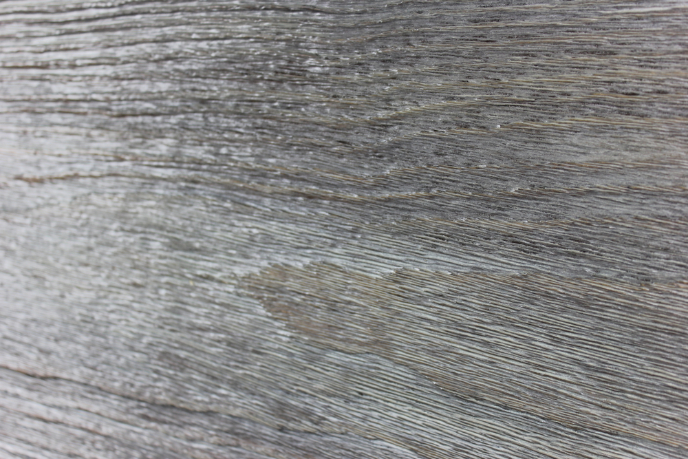 Петроглиф Олень. Панно