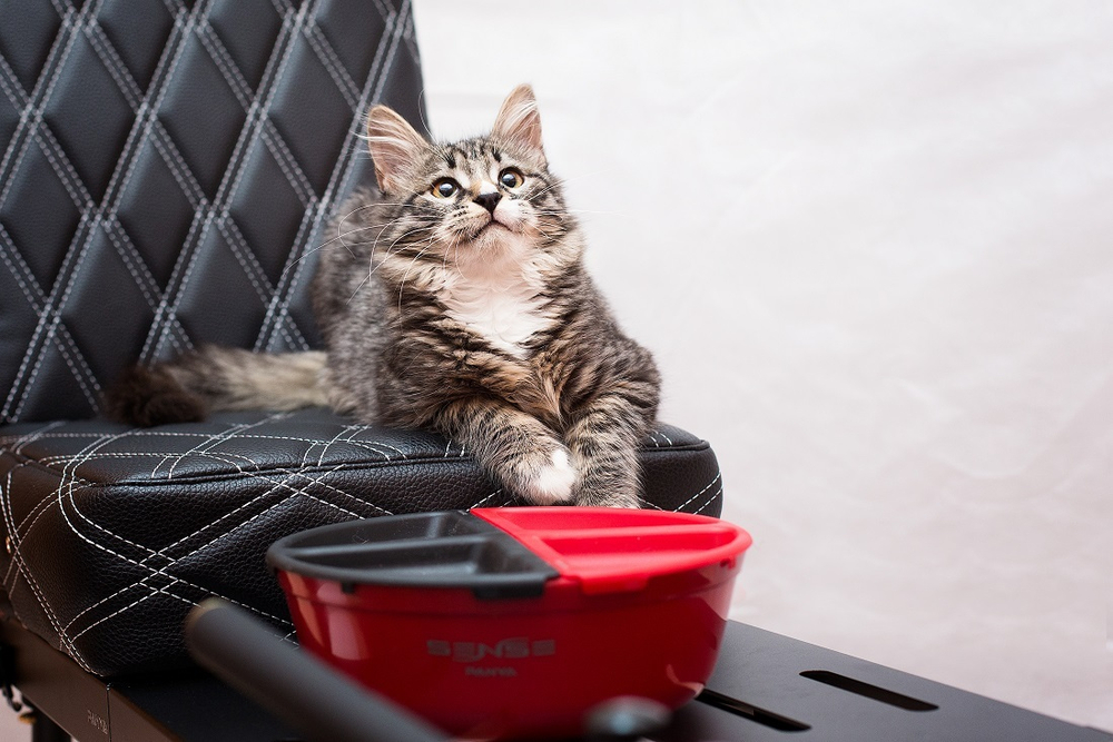 Набор мисок для замешивания теста SENSE