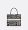 Сумка женская Dior Book Tote, модель маленького формата синий