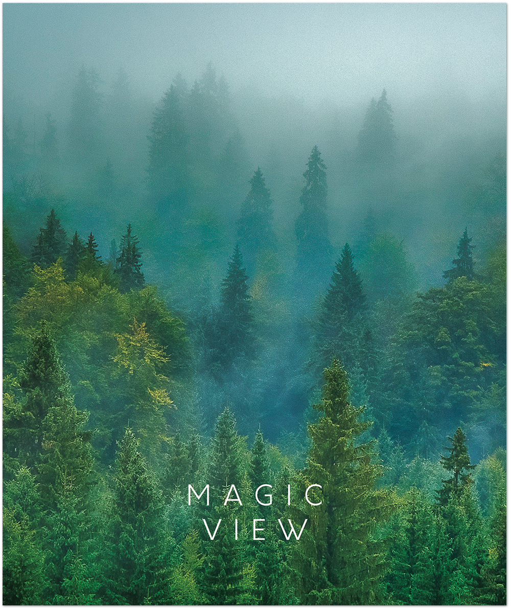 Тетрадь общая "Красивые Пейзажи"