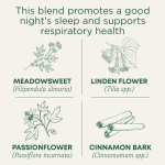 Traditional Medicinals, Organic Cold Care PM, таволга и корица, без кофеина, 16 чайных пакетиков в упаковке, 32 г (1,13 унции)
