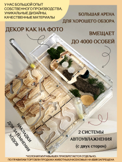 Супер большой Формикарий с муравьями в подарок «XXXL Дерево»