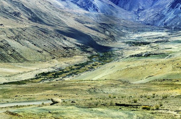 YanFroloff Herbes Himalayennes