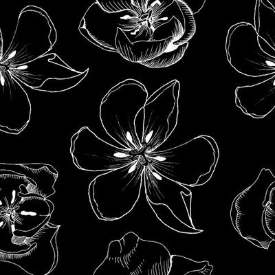 Тюльпаны белые бутоны на черном фоне