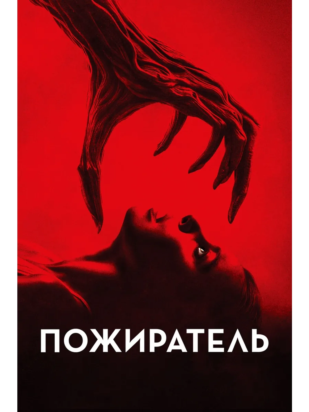 Пожиратель (2024) (DVD-R)