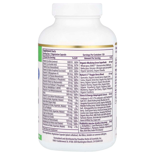 Paradise Herbs, Earth's Blend, комплекс мультивитаминов и суперфудов для приема один раз в день, 120 вегетарианских капсул