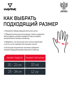 Перчатки боксерские INSANE RBF, синий, 12 oz