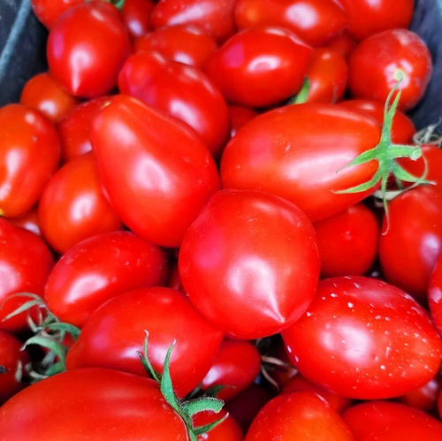 Помидоры Нова из Салерно - Pomodori Nova Di Salerno