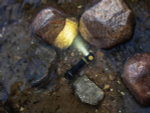 Фонарь налобный-мульти Armytek Elf C2 USB-C 1100 lm (F05103C)