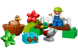 LEGO Duplo: Уточки в лесу 10581 — Forest: Ducks — Лего Дупло