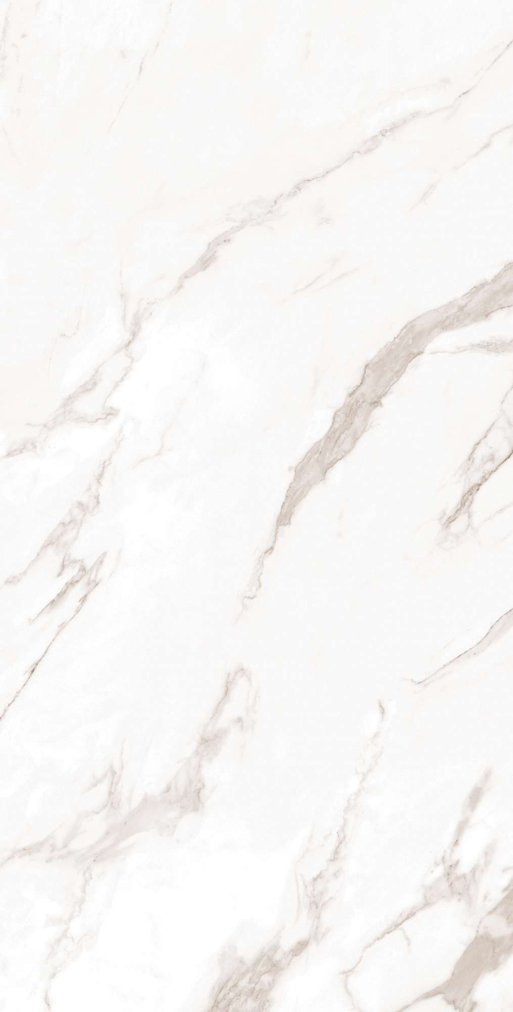 Керамогранит, Arcadia Ceramica, CALACATTA BIANCO, 1200x600 мм, полированная