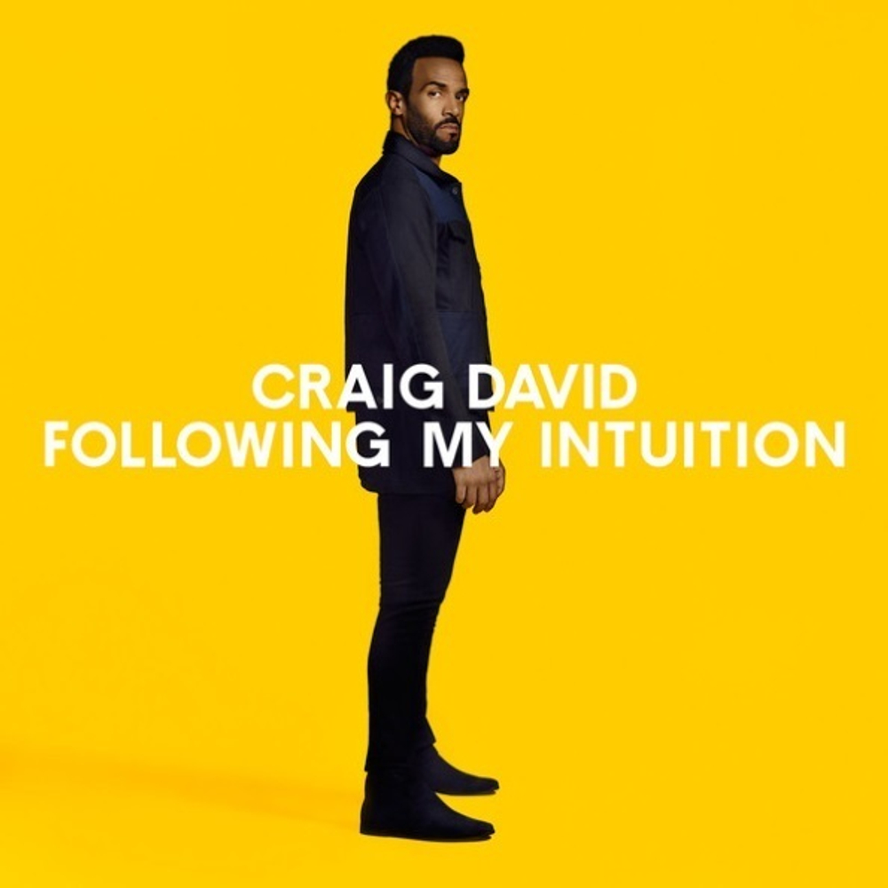 Craig David / Following My Intuition (CD)
