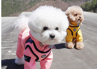 Аксессуары