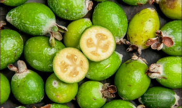 Фейхоа: что это за фрукт и в чем его польза?