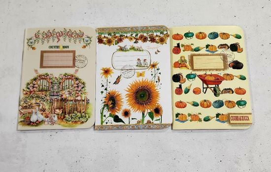 Блокнот "Замурчалки", 32 листа, 3 шт.