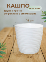 Cакура белая искусственная 110см в кашпо